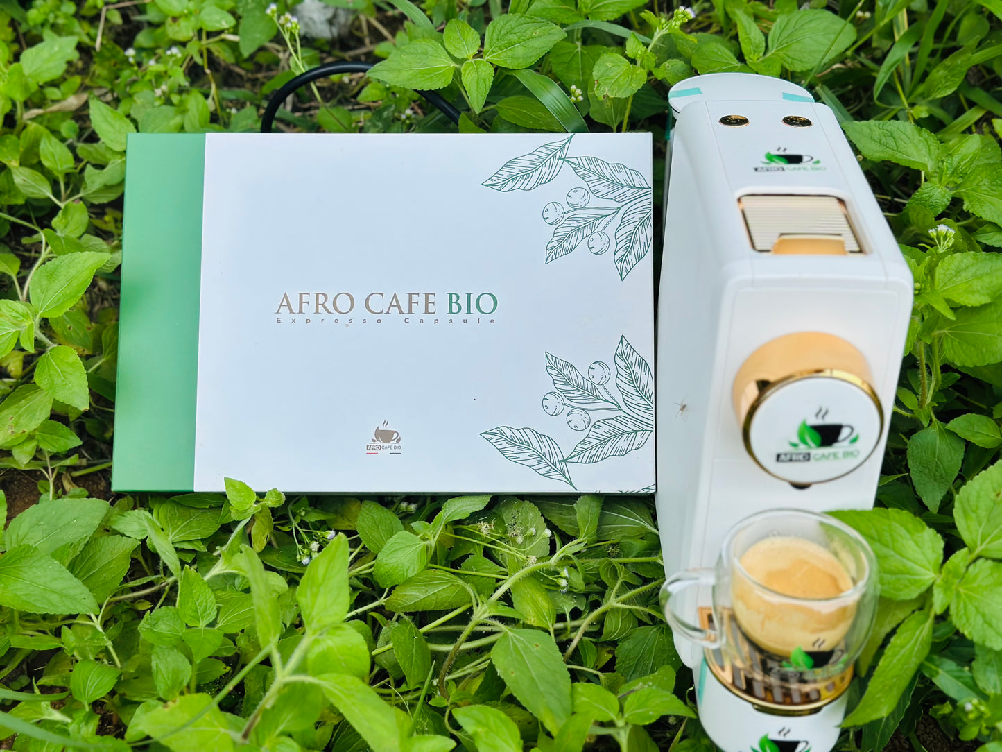 Machine à capsule café